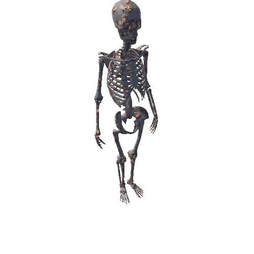 Full Skeleton Gib Version 5